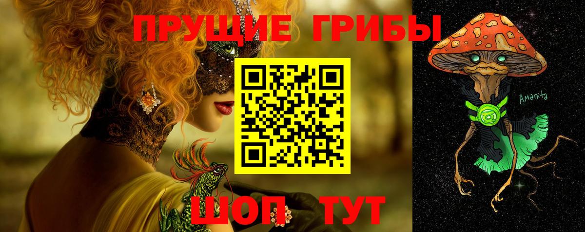 Галлюциногенные грибы Cubensis Удомля